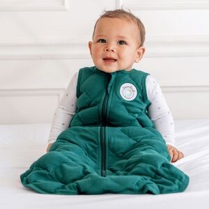 Dreamland weighted swaddle sleep sack